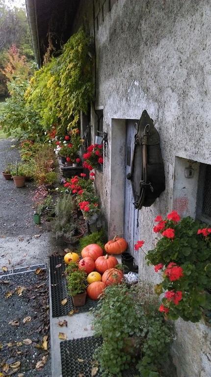Domaine De La Safraniere - Chambre D'Hote Saint-Leger  Bagian luar foto